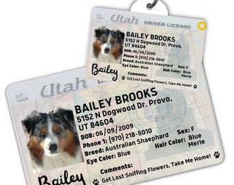 Custom dog tag Personalized pet ID tag Cat collar tag Engraved dog name tag Cute cat name tag Dog ID tag Pet tag for puppy (Utah)