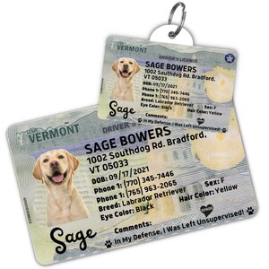 Benutzerdefinierte Hundemarke Personalisierte Haustier-ID-Tag Katzenhalsband-Tag Graviertes Hundenamensschild Niedliches Katzen-Namensschild Hunde-ID-Tag Haustiermarke für Welpen (Vermont)