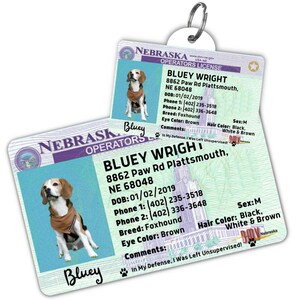 Custom dog tag Personalized pet ID tag Cat collar tag Engraved dog name tag Cute cat name tag Dog ID tag Pet tag for puppy (Nebraska)
