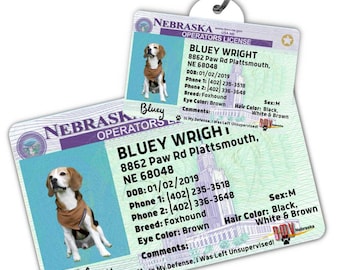 Custom dog tag Personalized pet ID tag Cat collar tag Engraved dog name tag Cute cat name tag Dog ID tag Pet tag for puppy (Nebraska)