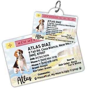 Custom dog tag Personalized pet ID tag Cat collar tag Engraved dog name tag Cute cat name tag Dog ID tag Pet tag for puppy (New Mexico)
