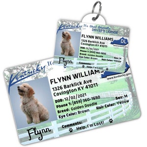 Custom dog tag Personalized pet ID tag Cat collar tag Engraved dog name tag Cute cat name tag Dog ID tag Pet tag for puppy (Kentucky)