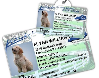 Custom dog tag Personalized pet ID tag Cat collar tag Engraved dog name tag Cute cat name tag Dog ID tag Pet tag for puppy (Kentucky)