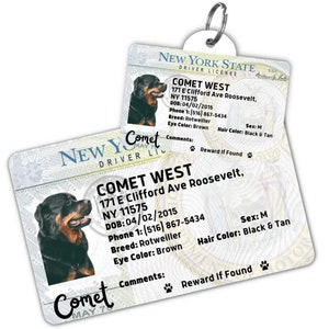 Custom dog tag Personalized pet ID tag Cat collar tag Engraved dog name tag Cute cat name tag Dog ID tag Pet tag for puppy (New York)