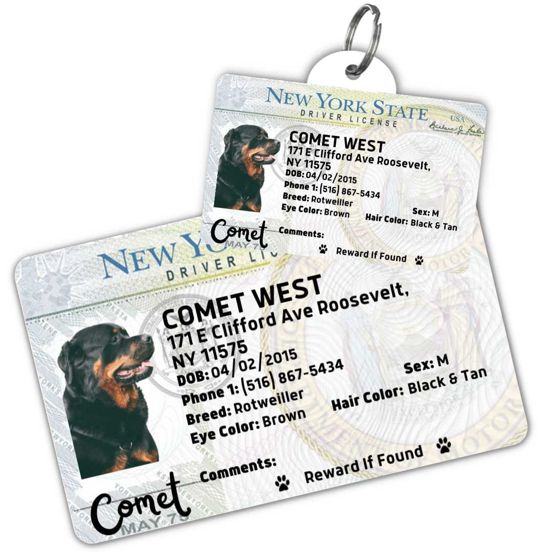  New York Driver License Custom Dog Tag for Pets and