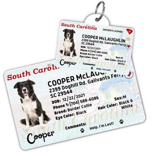 Custom dog tag Personalized pet ID tag Cat collar tag Engraved dog name tag Cute cat name tag Dog ID tag Pet tag for puppy (South Carolina)