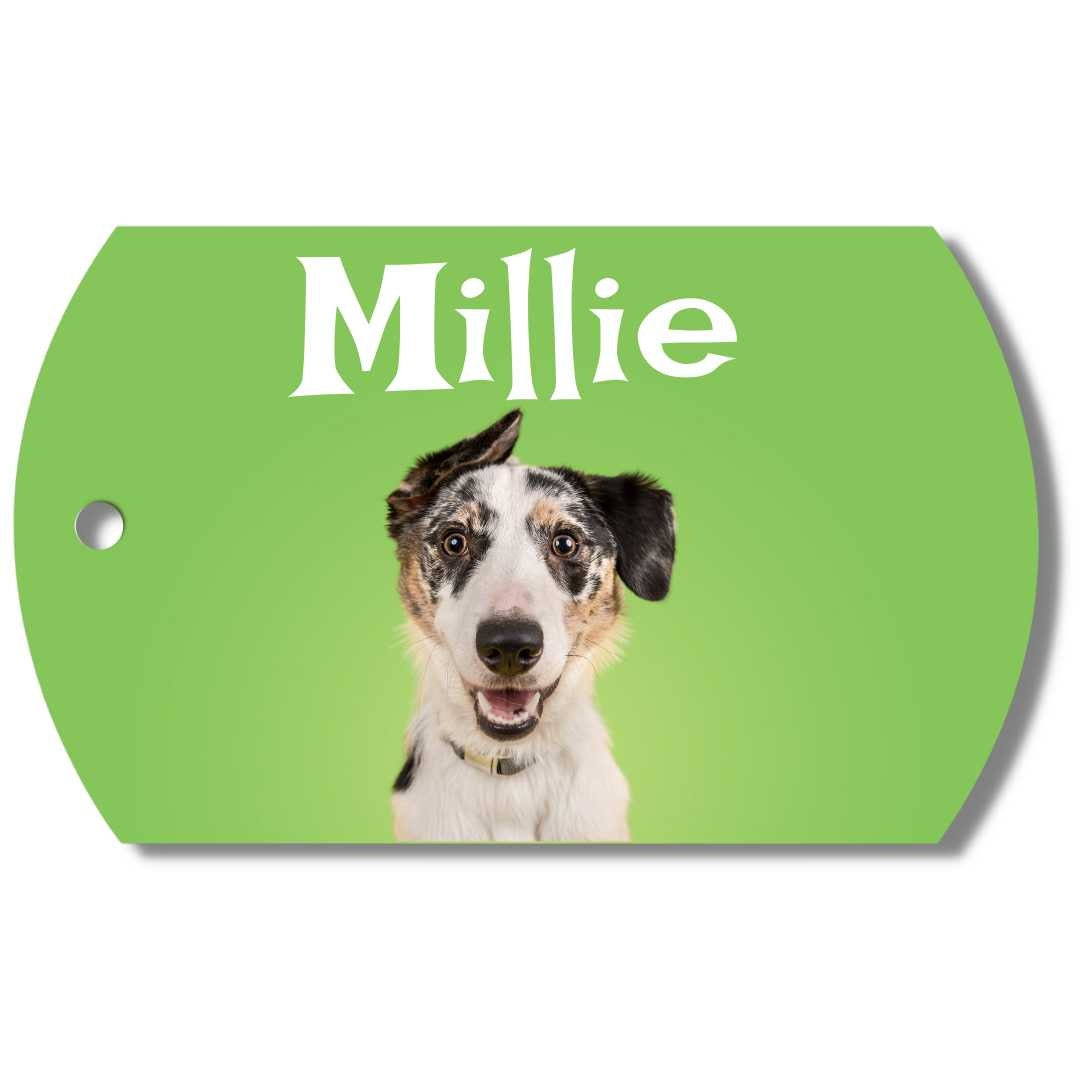 PawFurEver Custom Dog Tag with Photo (Green)