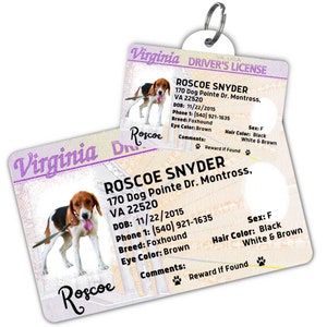Custom dog tag Personalized pet ID tag Cat collar tag Engraved dog name tag Cute cat name tag Dog ID tag Pet tag for puppy (Virginia)