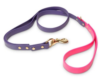 PawFurEver Waterproof Dog Leash - Available in Two Sizes and Seven Colors (Purple/Pink)