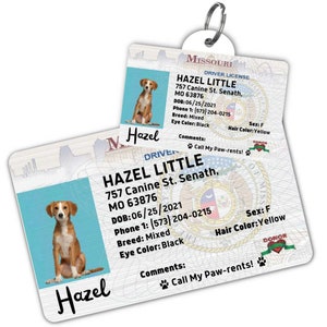 Custom dog tag Personalized pet ID tag Cat collar tag Engraved dog name tag Cute cat name tag Dog ID tag Pet tag for puppy (Missouri)