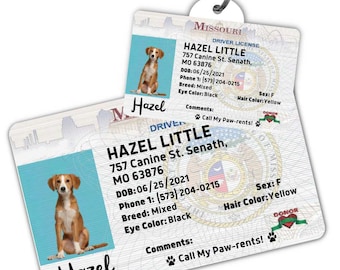 Custom dog tag Personalized pet ID tag Cat collar tag Engraved dog name tag Cute cat name tag Dog ID tag Pet tag for puppy (Missouri)