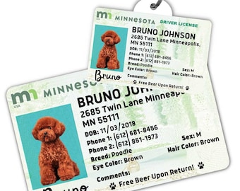 Custom dog tag Personalized pet ID tag Cat collar tag Engraved dog name tag Cute cat name tag Dog ID tag Pet tag for puppy (Minnesota)