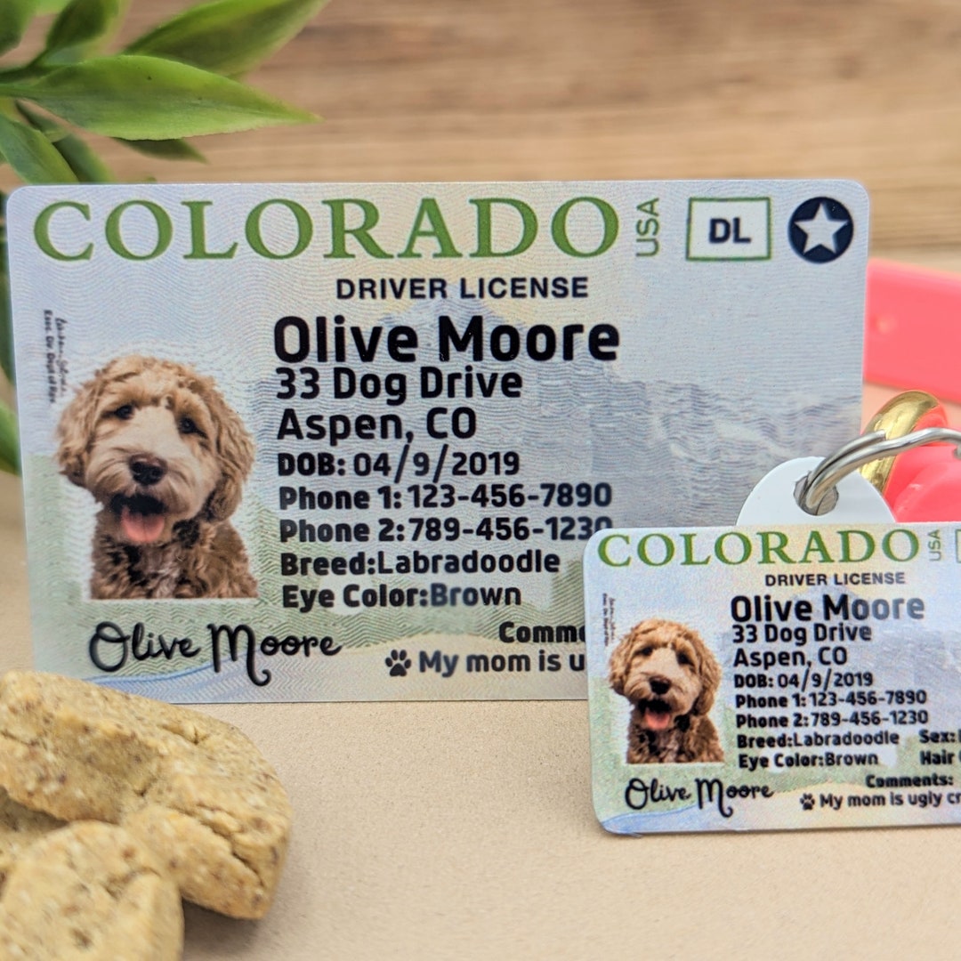 Custom Pet Tags Name Tag for Dog Name Tag Custom Dog Tag Personalized