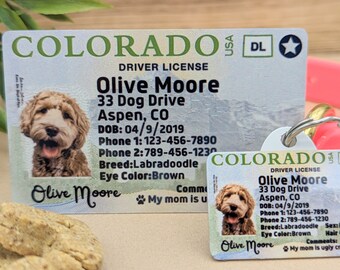 Custom pet tags name tag for dog name tag custom dog tag personalized pet tag custom dog id tag unique dog tag pet id cute dog tag puppy tag