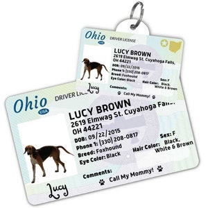 Custom dog tag Personalized pet ID tag Cat collar tag Engraved dog name tag Cute cat name tag Dog ID tag Pet tag for puppy (Ohio)