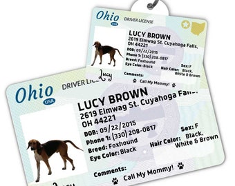 Custom dog tag Personalized pet ID tag Cat collar tag Engraved dog name tag Cute cat name tag Dog ID tag Pet tag for puppy (Ohio)