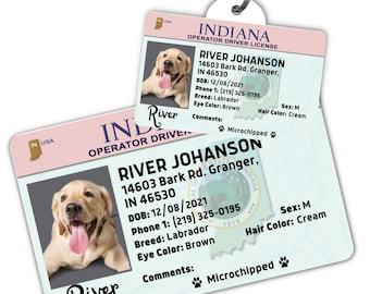 Op de afbeelding: Een blauw en wit Indiana hondenlicentie met een foto van een golden retriever puppy. De licentie bevat de naam van de hond, River Johanson, adres, geboortedatum, telefoonnummer, ras, oogkleur, haarkleur en opmerkingen. De licentie geeft ook aan dat de hond een microchip heeft.