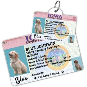 Custom dog tag Personalized pet ID tag Cat collar tag Engraved dog name tag Cute cat name tag Dog ID tag Pet tag for puppy (Iowa)