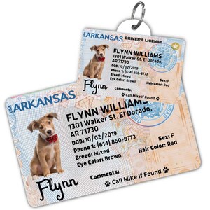 Custom dog tag Personalized pet ID tag Cat collar tag Engraved dog name tag Cute cat name tag Dog ID tag Pet tag for puppy (Arkansas)