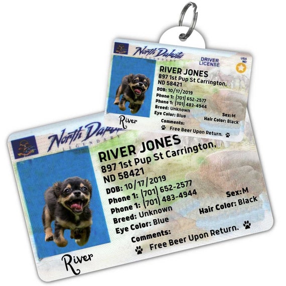 Free pet tags clearance 2019