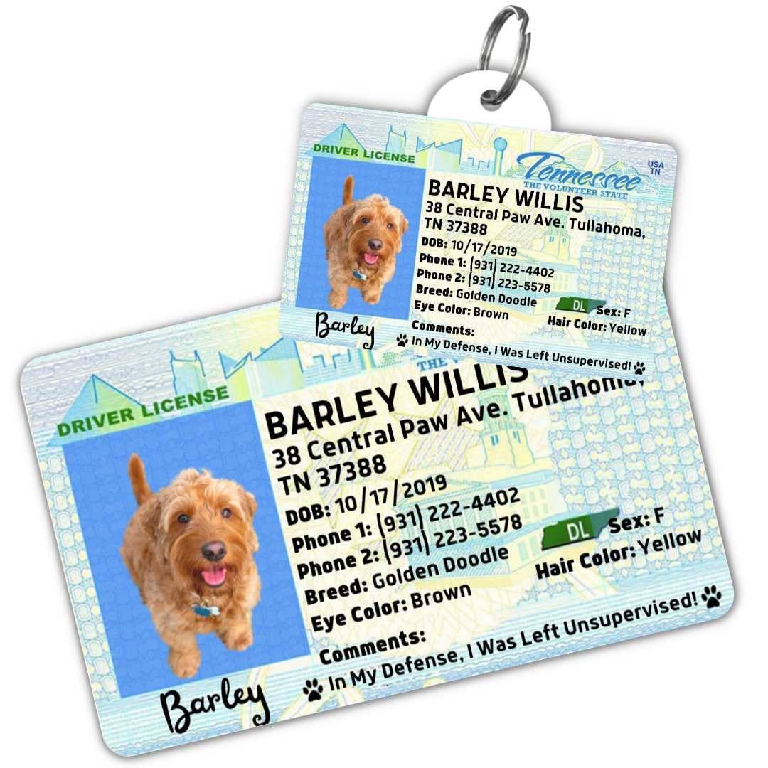 Florida Dog Drivers License Id Tag Pawfurever Dog Dog License Tag