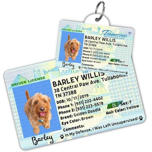 Custom dog tag Personalized pet ID tag Cat collar tag Engraved dog name tag Cute cat name tag Dog ID tag Pet tag for puppy (Tennessee)