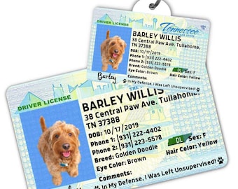 Custom dog tag Personalized pet ID tag Cat collar tag Engraved dog name tag Cute cat name tag Dog ID tag Pet tag for puppy (Tennessee)
