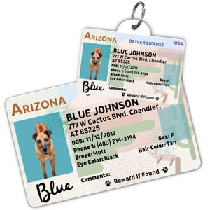 Custom dog tag Personalized pet ID tag Cat collar tag Engraved dog name tag Cute cat name tag Dog ID tag Pet tag for puppy (Arizona)