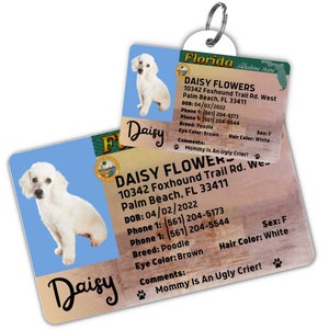 Custom dog tag Personalized pet ID tag Cat collar tag Engraved dog name tag Cute cat name tag Dog ID tag Pet tag for puppy (Florida)