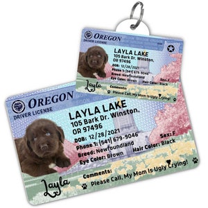 Custom dog tag Personalized pet ID tag Cat collar tag Engraved dog name tag Cute cat name tag Dog ID tag Pet tag for puppy (Oregon)