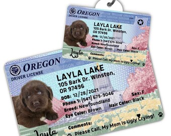 Custom dog tag Personalized pet ID tag Cat collar tag Engraved dog name tag Cute cat name tag Dog ID tag Pet tag for puppy (Oregon)