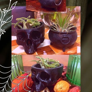 May include: Three black skull-shaped planters with air plants growing inside. The planters are made of a smooth, matte black plastic and have a realistic skull design. The air plants are green and have long, thin leaves.