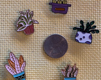 Topf sukkulenten Pflanzennadel Minder Magnet