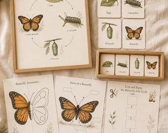 Montessori Butterfly Life Cycle Printable, Preschool Learning Pack, Homeschool Activities (Digital Download)
