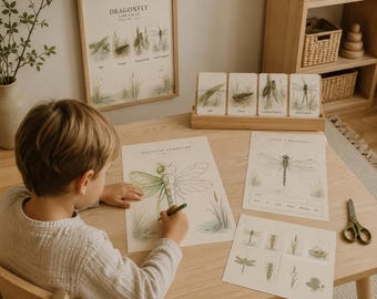 Ciclo de vida de la libélula imprimible, actividades Montessori sobre insectos para niños, tarjetas de secuenciación, hojas de trabajo de ciencias para preescolar, aprendizaje en casa.