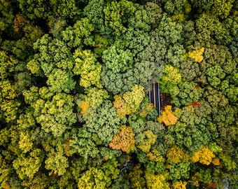 Wrapped Canvas, Backroads, West Virginia