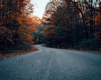 Wrapped Canvas, West Virginia, Back Roads, Fall Colors