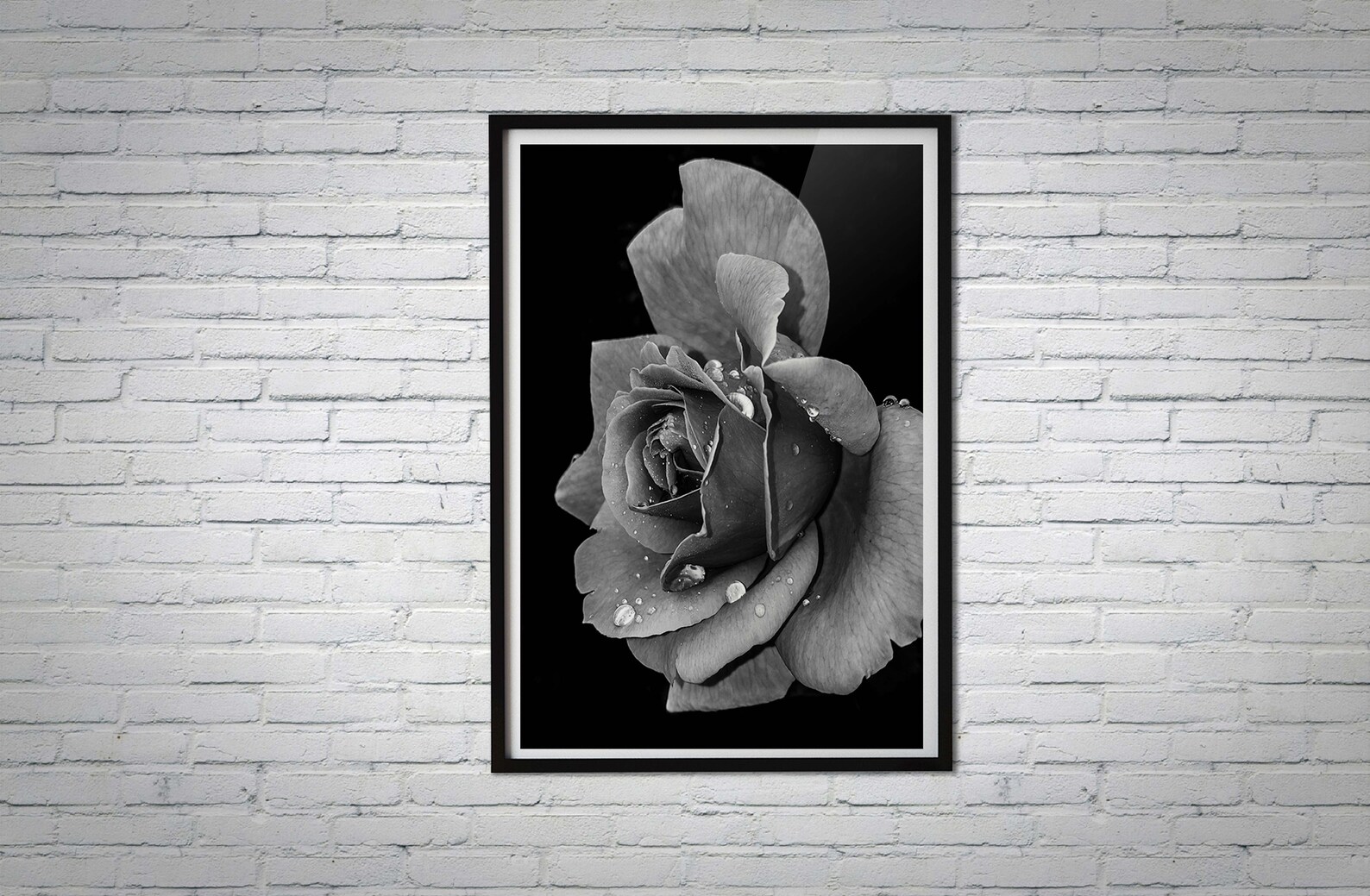 Black and White Rose Flower Canvas Poster Flower Poster Etsy