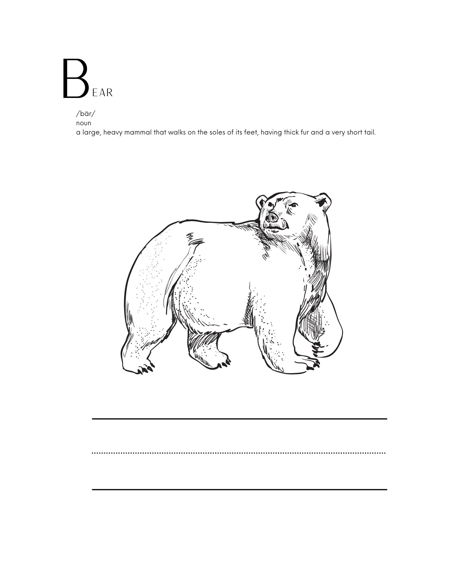 Forest Animals Coloring Sheets Woodland Animals Coloring   Etsy