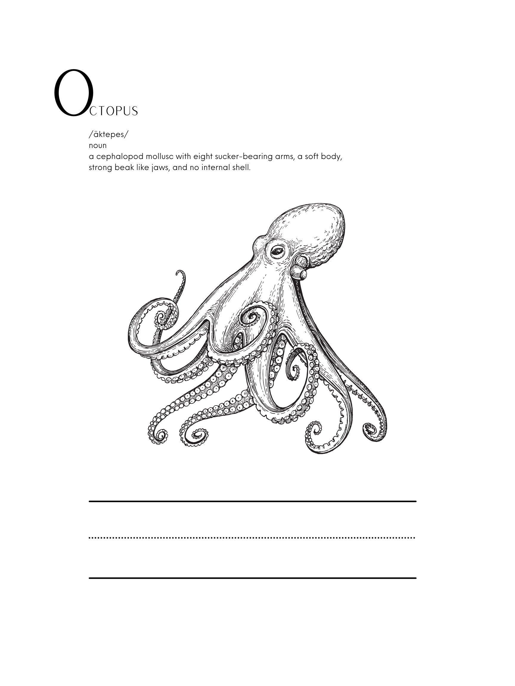 Buy Squid Coloring Online In India - Etsy India