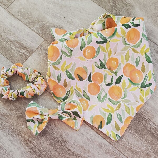 Peach Dog Bandana Etsy