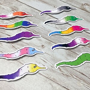 May include: A selection of worm stickers, each displaying a different pride flag design. The stickers feature worms with white borders and a variety of colours, including rainbow, pink, blue, and green.