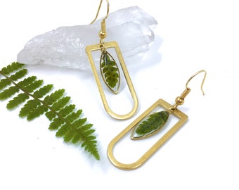 Real Green Fern Earrings | Green Fern Marquis dangles in large Brass D ring | Handmade Botanical Jewelry