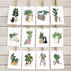 Postcard Pack of 12 Cat And Plant Cat Postcard Plant Postcard Postcard Pack Cute Postcard Set 4x6 Postcard Cat and Plant Print White Background