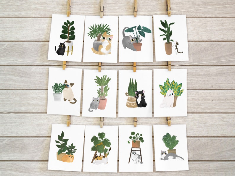 Postcard Pack of 12 Cat And Plant Cat Postcard Plant Postcard Postcard Pack Cute Postcard Set 4x6 Postcard Cat and Plant Print White Background