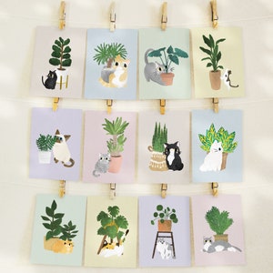 Postcard Pack of 12 Cat And Plant Cat Postcard Plant Postcard Postcard Pack Cute Postcard Set 4x6 Postcard Cat and Plant Print Colors Background