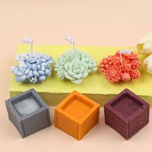 Succulent Mold Plant Silicone Mold 3D Succulent Candle Mold Resin Succulent  Plant Mold Succulent Fondant Mold Plaster Mold Chocolate Mold 