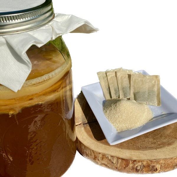 Organic kombucha starter kit with SCOBY