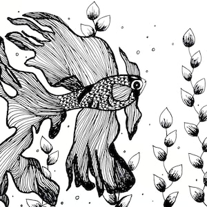 Betta Fish Coloring Page