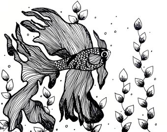 Betta Fish Coloring Page
